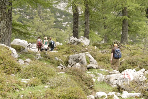 Dachstein | Pongau | Filzmoos | Oberhofalm | Rinderfeld | Sulzenhals | Madlinghofalm | Dachsteingruppe