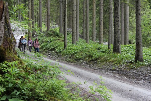 Pongau | Kleinarl | Jägersee