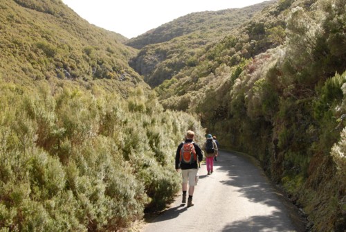 Portugal | Madeira | Levada zu den 25 Quellen (Levada das 25 Fontes)