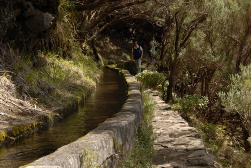 Portugal | Madeira | Levada zu den 25 Quellen (Levada das 25 Fontes)