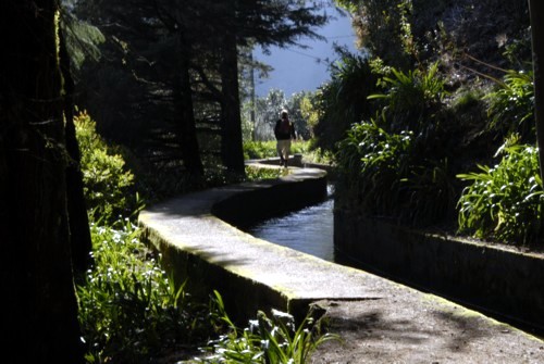 Portugal | Madeira | Tunnellevada (Folhadal) von der Passhöhe Encumeada aus