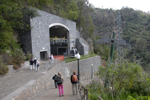 Portugal | Madeira | Liebesblumenlevada | Monte | Camacha
