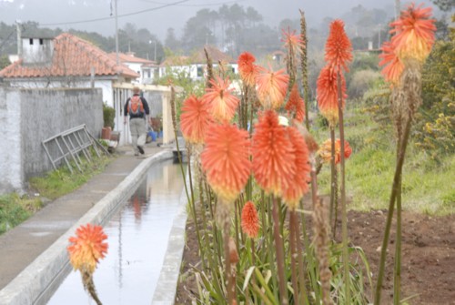 Portugal | Madeira | Prazeres | Levada Nove | Paul do Mar