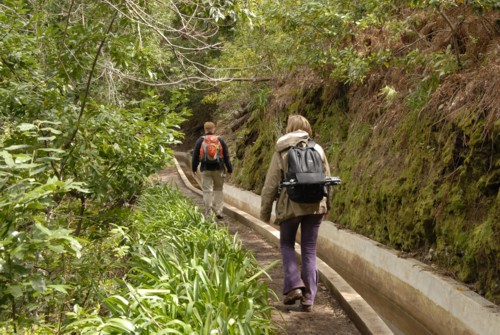 Portugal | Madeira | Prazeres | Levada Nove | Paul do Mar