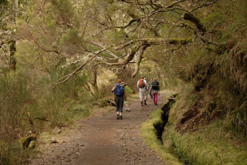 Portugal | Madeira | Rabacal | Risco