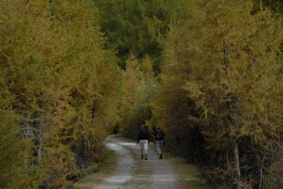 Südtirol | Pustertal | Bonner Hütte