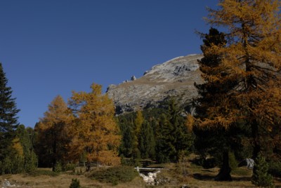 Von der Platzwiese zum Dürrenstein 