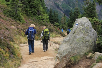 Schneekoppe | Riesengebirge