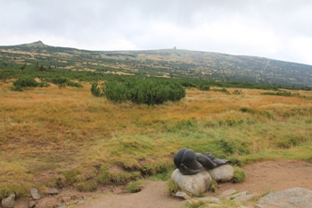 Elbeursprung | Riesengebirge