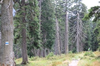 Elbeursprung | Riesengebirge