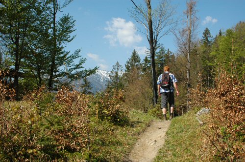Alsbald wird der Weg schmaler und wir blicken in das Karwendelgebirge am Achensee