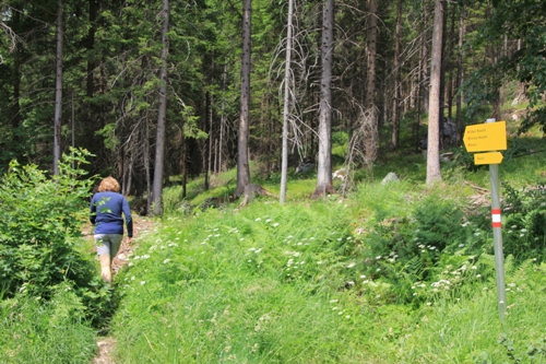 Dalfazalm | Rofangebirge