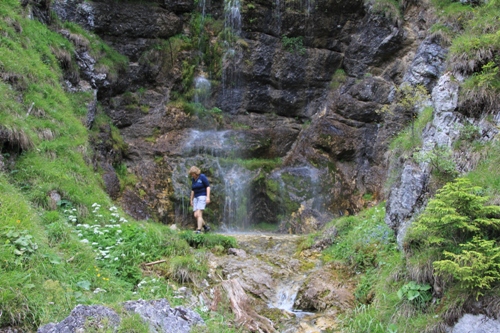 Dalfazalm | Rofangebirge