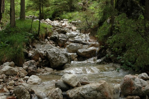 Der Weg zur Erfurter Hütte geht am Anfang immer neben einen angenehm rauschenden Wildbach