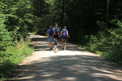 Göppingen | Burg Hohenstaufen