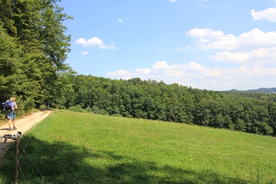 Göppingen | Burg Hohenstaufen