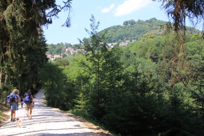 Göppingen | Burg Hohenstaufen