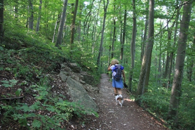 Burg Teck | Burg Hohenneuffen