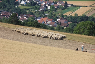 Burg Teck | Burg Hohenneuffen