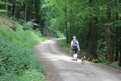 Uracher Wasserfälle | Stahleck