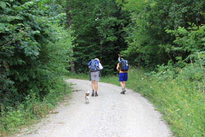 Gammertingen | Zollsteighof