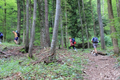 Gammertingen | Zollsteighof