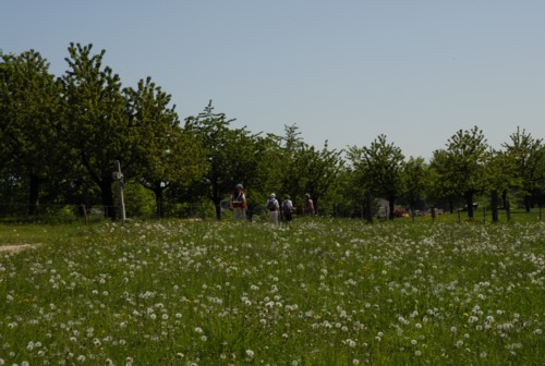 Jura H&ouml;henweg | Basler H&ouml;henweg | Dornach | Gempen