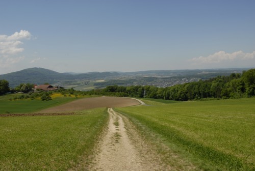 Jura H&ouml;henweg | Basler H&ouml;henweg | Dornach | Gempen