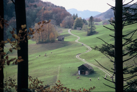 sanft schl&auml;ngelt sich der Weg durch die Wiesen Richtung Hauenstein