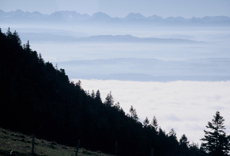 die Berge des Berner Oberlandes schweben &uuml;ber dem herbstlichen Nebelmeer