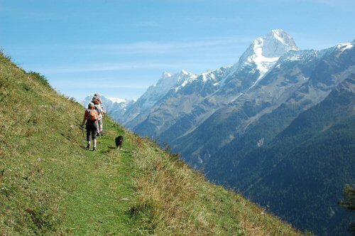 L&ouml;tschentaler H&ouml;henweg mit Blick auf das Bietschhorn