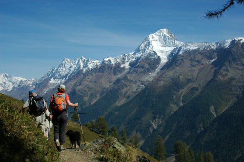 L&ouml;tschentaler H&ouml;henweg mit dem Bietschhorn