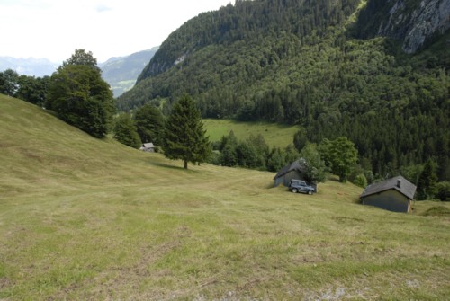 Niederurnen | Morgenholz | Hirzli
