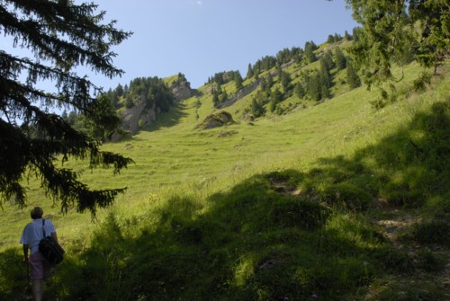 Niederurnen | Morgenholz | Hirzli