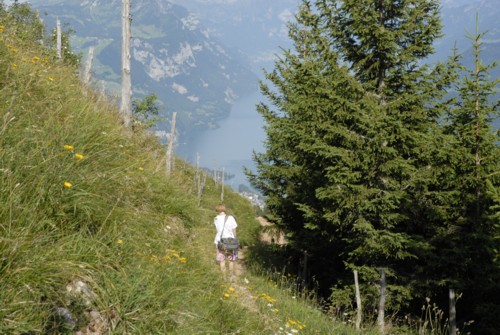 Niederurnen | Morgenholz | Hirzli