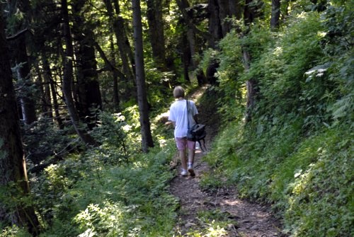 Niederurnen | Morgenholz | Hirzli