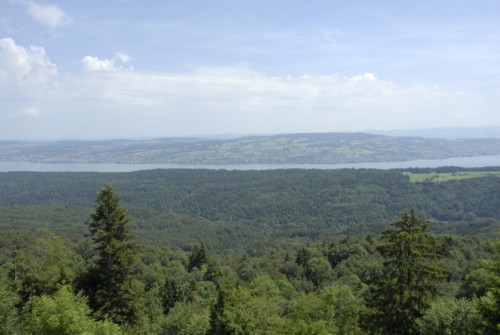 Wanderung auf das Albishorn und R&uuml;ckweg &uuml;ber den Sihlwald