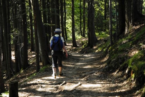 &Auml;gerisee | Kanton Zug | Schweiz