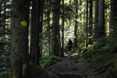 &Auml;gerisee | Kanton Zug | Schweiz