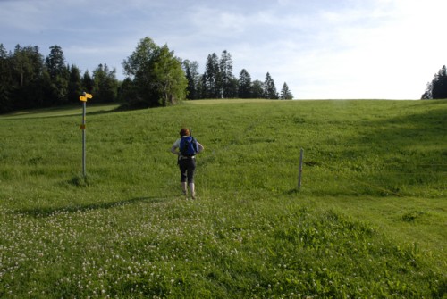 &Auml;gerisee | Kanton Zug | Schweiz