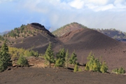 Teneriffa | Parque de la Teide