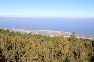 Aguamansa | Teneriffa