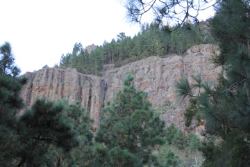 Aguamansa | Teneriffa