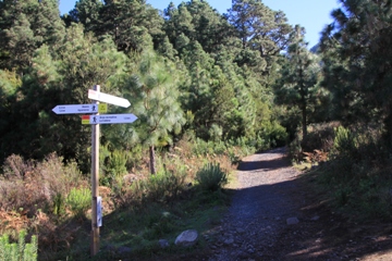 Aguamansa | Teneriffa