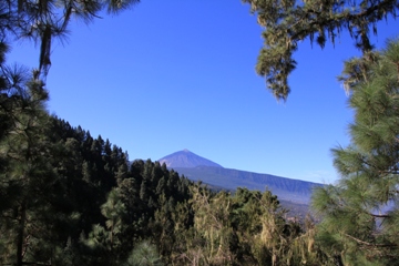 Aguamansa | Teneriffa