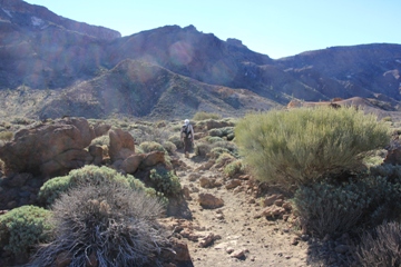 Guajara | Parque del Naticional del Teide