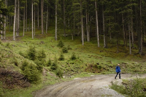 Stubaital | Mieders | Gasthof Sonnenstein | Ochsenhütte