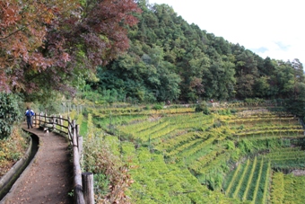 Südtirol | Passeiertal