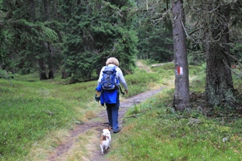 S&uuml;dtirol | Jaufenpass