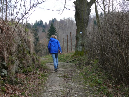 Riesengebirge | Gerhart Hauptmann | Karkonosze